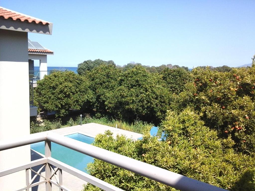 Natura Beach Hotel And Villas Polis 部屋 写真